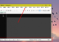 Notepad++如何隐藏状态栏?Notepad++隐藏状态栏的方法