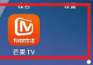 芒果TV如何设置允许芒果TV展现活跃状态？芒果TV设置允许芒果TV展现活跃状态的方法