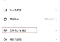 soul怎么开启青少年模式?soul开启青少年模式方法